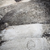 dailyPhoto8